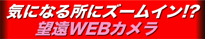 気になるところにズームイン！望遠WEBカメラ